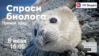 Спроси биолога. Большие и уязвимые
