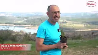 HENKEL ΠΕΝΤΕΛΗ Αναδάσωση 13 3 24