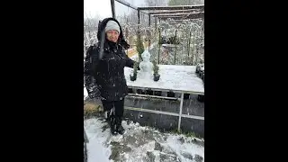 ВСЁ БУДЕТ ХОРОШО! 27 апреля 2021. Подмосковье.