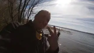 Последние дни перед запретом