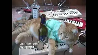 Archival footage shows Bento struggling with fame