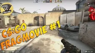 CS:GO - Fragmovie by Randall