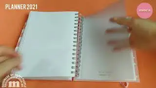 Como se organizar em 2021 - Planner 2021 com roda da vida