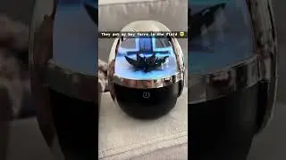 The Venom Design Speaker #brandonveza #brandonvezareviews #brandonvezadeals