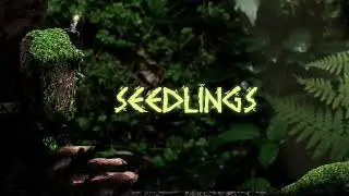 Seedling _ Full Walkthrough