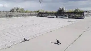 Прогулка по Мурому 💗 20/09/2020 💗