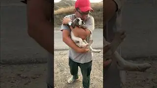 Есть ли у нас друзья? Конечно 🤗
