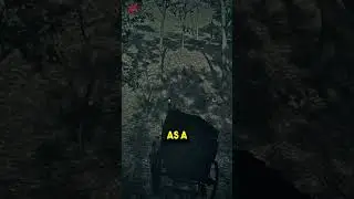 Do You Need The Bounty Wagon? The Truth! (Red Dead Online)