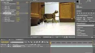 Adobe After Effects CS5 Tutorials - Roto-Brush, Roto-Brush Part No.2