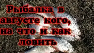 Рыбалка в августе: кого, на что и как ловить