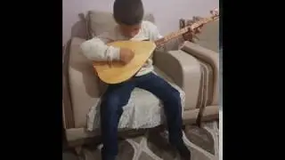 KÜRÇE DELAL DAMARDAN