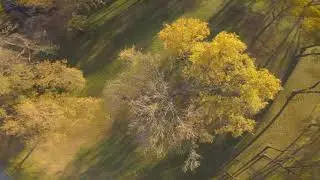 Falling / FPV Freestyle