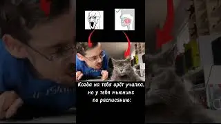 мьюнинг не контрица)#мьюнинг #shorts #youtubeshorts