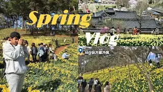 KOREA VLOG : my spring day visiting 서산유기방가옥 🌼 ( Mr.sunshine filming location )