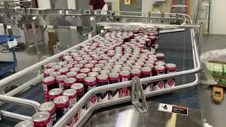 Start-up Distillery Requests Mass-flow, Reflow and Single File Accumulation by Multi-Conveyor
