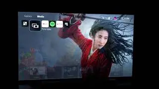 Ps5 c9 raised black issues with demonstrations