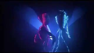 Световое шоу (Павлин)