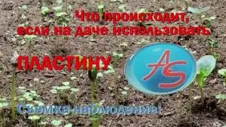 Что происходит если на даче использовать пластину AS ?