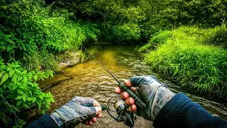 SECRET MICRO RIVER! ARE THERE FISH HERE? / SPINNING FISHING in the style of JIMMYSHING