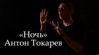 Антон Токарев - Ночь (кавер Андрея Губина на жестовом языке)