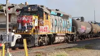 Sierra Northern and Union pacific Action on the Santa Paula Branch line   10 3&9 2024