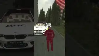 я полицейский