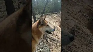 На природе на берегу реки