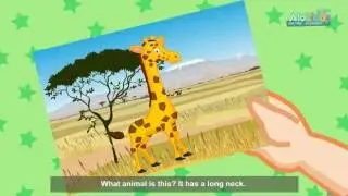 Hello Felix | CVL Unit 5 Wild animals - Learning english for kids