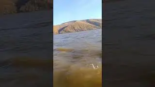 Правый берег Амура.