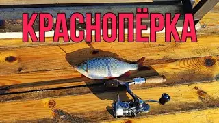 #мормышинг