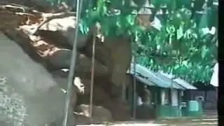 Kuragala Muslim Attack - Must Watch and Please Share
