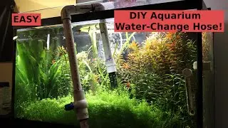 DIY Water Change System - How To Siphon Aquarium Tank - Easy