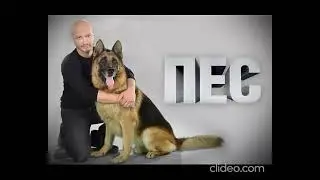 пес саундтрек грустная тема