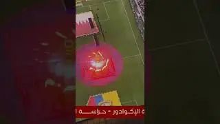 ٢٠ نوفمبر ٢٠٢٢