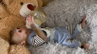 Baby monkey Harry playing with puppy but have to take a shower then drink a bottle of milk and sleep