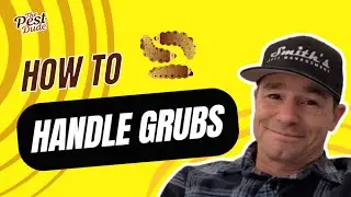 How to handle grubs- AKA stop animals from tearing up your lawn.A chat with the Pest Dude