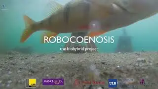 RC Shorts energy harvesting & data  collection