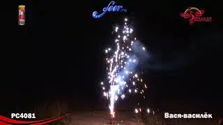 РС4081: Вася-василек