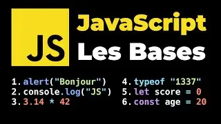 JavaScript Basics - Learn JS for Beginners