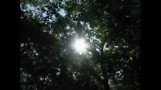 Lisa Gerrard & Patrick Cassidy - I Asked For Love.