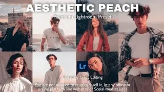 Aesthetic Peach Preset - Peach Filters | Peach Color Preset | Lightroom Free DNG