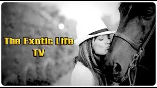 Stefany Baclaan -  The Exotic Life - sizzle