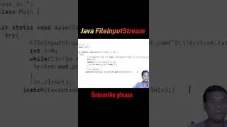 Read all character from Java file input stream