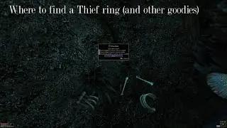 Where to find a Thief Ring (and other goodies) - The Elder Scrolls 3: Morrowind