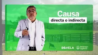 DVB afecta mi rentabilidad
