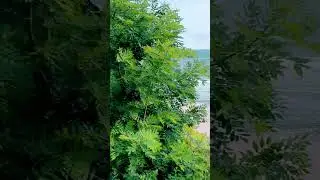 балтийское море
