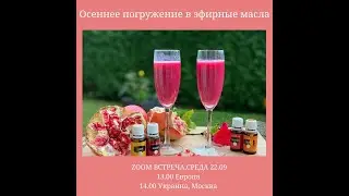 Премиальный стартовый набор эфирных масел Young Living. Premium Starter Kit essential oils