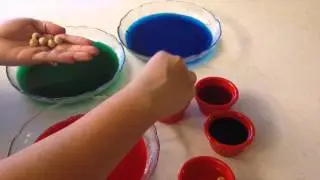 2 Easy DIY Parrot Toys