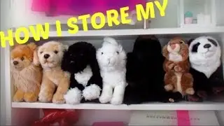 How I store all of my Webkinz