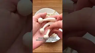 ШИМИДЖИ - Грибы которые любят СУМОИСТЫ!